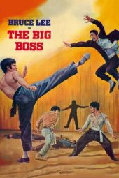Nonton Streaming Download Film The Big Boss (1971)