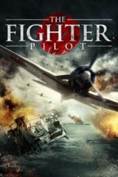 The Fighter Pilot (2013)